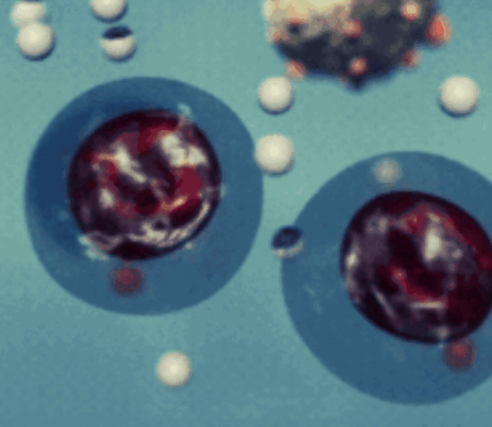 illustration of how the drug protects blood cells